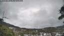 ./images/calvert/fitz-hugh-hecate/20260403/fitz-hugh-hecate20260403_135002M.jpg