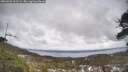 ./images/calvert/fitz-hugh-hecate/20260403/fitz-hugh-hecate20260403_161501M.jpg