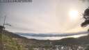 ./images/calvert/fitz-hugh-hecate/20260404/fitz-hugh-hecate20260404_092001M.jpg