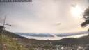./images/calvert/fitz-hugh-hecate/20260404/fitz-hugh-hecate20260404_094002M.jpg