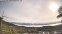 ./images/calvert/fitz-hugh-hecate/20260404/fitz-hugh-hecate20260404_094501M.jpg