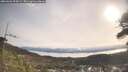 ./images/calvert/fitz-hugh-hecate/20260404/fitz-hugh-hecate20260404_095001M.jpg