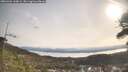 ./images/calvert/fitz-hugh-hecate/20260404/fitz-hugh-hecate20260404_100001M.jpg