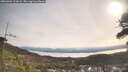 ./images/calvert/fitz-hugh-hecate/20260404/fitz-hugh-hecate20260404_101002M.jpg