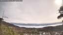 ./images/calvert/fitz-hugh-hecate/20260404/fitz-hugh-hecate20260404_103501M.jpg