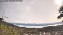 ./images/calvert/fitz-hugh-hecate/20260404/fitz-hugh-hecate20260404_104001M.jpg