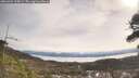 ./images/calvert/fitz-hugh-hecate/20260404/fitz-hugh-hecate20260404_105001M.jpg