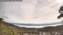 ./images/calvert/fitz-hugh-hecate/20260404/fitz-hugh-hecate20260404_105501M.jpg