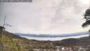 ./images/calvert/fitz-hugh-hecate/20260404/fitz-hugh-hecate20260404_110001M.jpg