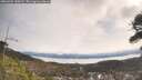 ./images/calvert/fitz-hugh-hecate/20260404/fitz-hugh-hecate20260404_110501M.jpg