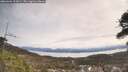 ./images/calvert/fitz-hugh-hecate/20260404/fitz-hugh-hecate20260404_113001M.jpg