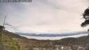 ./images/calvert/fitz-hugh-hecate/20260404/fitz-hugh-hecate20260404_115001M.jpg