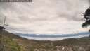 ./images/calvert/fitz-hugh-hecate/20260404/fitz-hugh-hecate20260404_134001M.jpg