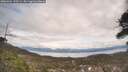 ./images/calvert/fitz-hugh-hecate/20260404/fitz-hugh-hecate20260404_135501M.jpg