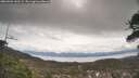 ./images/calvert/fitz-hugh-hecate/20260404/fitz-hugh-hecate20260404_141501M.jpg