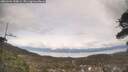 ./images/calvert/fitz-hugh-hecate/20260404/fitz-hugh-hecate20260404_150001M.jpg