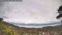 ./images/calvert/fitz-hugh-hecate/20260404/fitz-hugh-hecate20260404_151002M.jpg