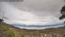 ./images/calvert/fitz-hugh-hecate/20260404/fitz-hugh-hecate20260404_160001M.jpg