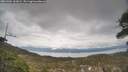 ./images/calvert/fitz-hugh-hecate/20260404/fitz-hugh-hecate20260404_161001M.jpg