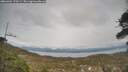 ./images/calvert/fitz-hugh-hecate/20260404/fitz-hugh-hecate20260404_170501M.jpg