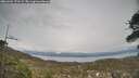 ./images/calvert/fitz-hugh-hecate/20260404/fitz-hugh-hecate20260404_171501M.jpg