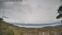 ./images/calvert/fitz-hugh-hecate/20260404/fitz-hugh-hecate20260404_172001M.jpg