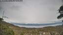 ./images/calvert/fitz-hugh-hecate/20260404/fitz-hugh-hecate20260404_172501M.jpg