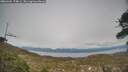 ./images/calvert/fitz-hugh-hecate/20260404/fitz-hugh-hecate20260404_174001M.jpg