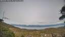 ./images/calvert/fitz-hugh-hecate/20260404/fitz-hugh-hecate20260404_174502M.jpg