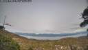 ./images/calvert/fitz-hugh-hecate/20260404/fitz-hugh-hecate20260404_175002M.jpg