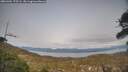./images/calvert/fitz-hugh-hecate/20260404/fitz-hugh-hecate20260404_175502M.jpg