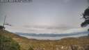 ./images/calvert/fitz-hugh-hecate/20260404/fitz-hugh-hecate20260404_180002M.jpg