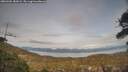 ./images/calvert/fitz-hugh-hecate/20260404/fitz-hugh-hecate20260404_182002M.jpg