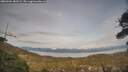 ./images/calvert/fitz-hugh-hecate/20260404/fitz-hugh-hecate20260404_182501M.jpg
