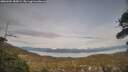 ./images/calvert/fitz-hugh-hecate/20260404/fitz-hugh-hecate20260404_183002M.jpg