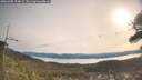 ./images/calvert/fitz-hugh-hecate/20260405/fitz-hugh-hecate20260405_094001M.jpg
