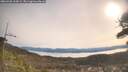 ./images/calvert/fitz-hugh-hecate/20260405/fitz-hugh-hecate20260405_100001M.jpg