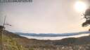 ./images/calvert/fitz-hugh-hecate/20260405/fitz-hugh-hecate20260405_100501M.jpg