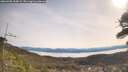 ./images/calvert/fitz-hugh-hecate/20260405/fitz-hugh-hecate20260405_104501M.jpg