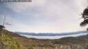 ./images/calvert/fitz-hugh-hecate/20260405/fitz-hugh-hecate20260405_115001M.jpg