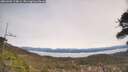./images/calvert/fitz-hugh-hecate/20260405/fitz-hugh-hecate20260405_124001M.jpg