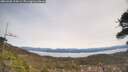 ./images/calvert/fitz-hugh-hecate/20260405/fitz-hugh-hecate20260405_124501M.jpg