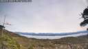 ./images/calvert/fitz-hugh-hecate/20260405/fitz-hugh-hecate20260405_130001M.jpg