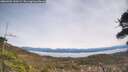 ./images/calvert/fitz-hugh-hecate/20260405/fitz-hugh-hecate20260405_130501M.jpg