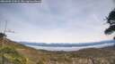 ./images/calvert/fitz-hugh-hecate/20260405/fitz-hugh-hecate20260405_133001M.jpg