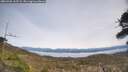 ./images/calvert/fitz-hugh-hecate/20260405/fitz-hugh-hecate20260405_135501M.jpg