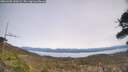 ./images/calvert/fitz-hugh-hecate/20260405/fitz-hugh-hecate20260405_141001M.jpg