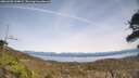 ./images/calvert/fitz-hugh-hecate/20260405/fitz-hugh-hecate20260405_144001M.jpg