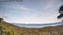 ./images/calvert/fitz-hugh-hecate/20260405/fitz-hugh-hecate20260405_145502M.jpg