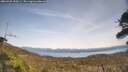 ./images/calvert/fitz-hugh-hecate/20260405/fitz-hugh-hecate20260405_150501M.jpg